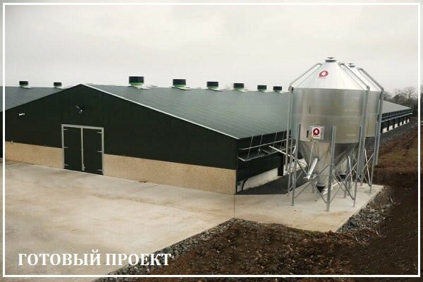 Этапы возведения птицефабрики от завода ВелесТент-нкб